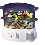 Oster 5711 mechanical food steamer feature image