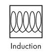 induction symbol indicates steamer induction compatibility