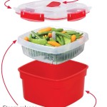 BPA FREE Sistema microwave steamer featured image