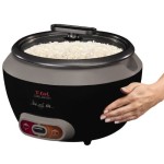T-fal steamer rice cooker